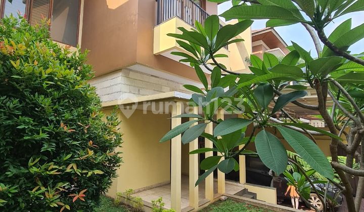 Minimalis Tropical House Di Kemang Jakarta Selatan 2
