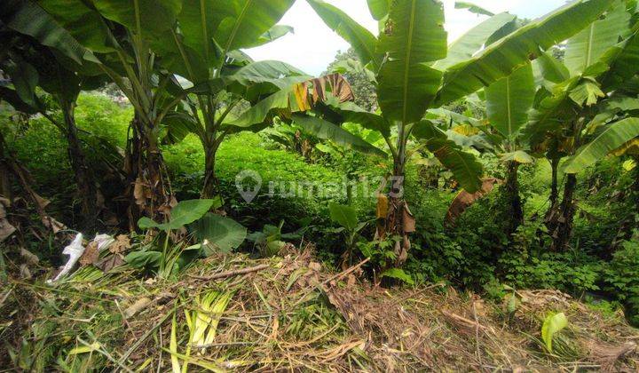 Tanah Mainroad Bojong Koneng Cocok Dibangun Villa 4