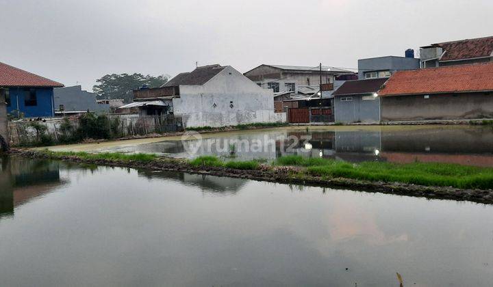 Tanah Sawah Mainroad Di Cipamokolan Dekat Margahayu Raya Bandung  6