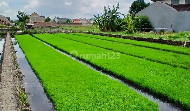 Tanah Sawah Strategis Di Cimencrang Soekarno Hatta Bandung