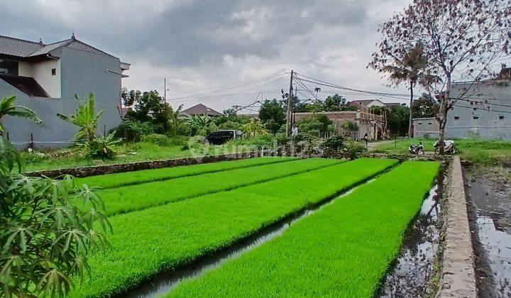 Tanah Sawah Strategis Di Cimencrang Soekarno Hatta Bandung