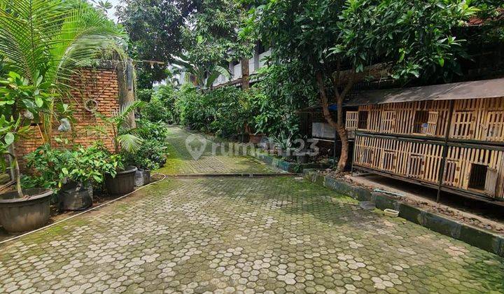 For Sale Rumah Bagus Ada Pool di Jagakarsa, Jaksel 2