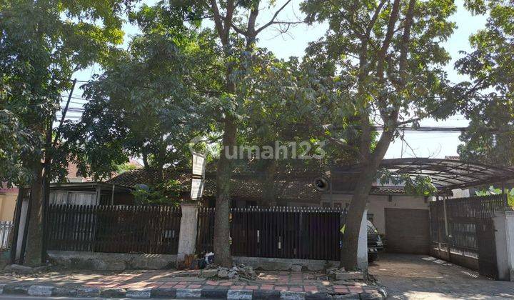 Rumah Terawat Lokasi Strategis Mainroad Pajajaran Cicendo 1