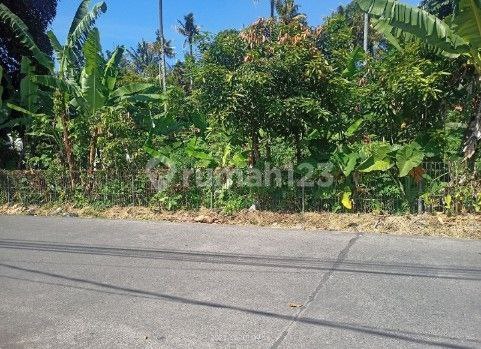 Tanah Super Murah Setengah Harga Pasaran & NJOP Pasteur
