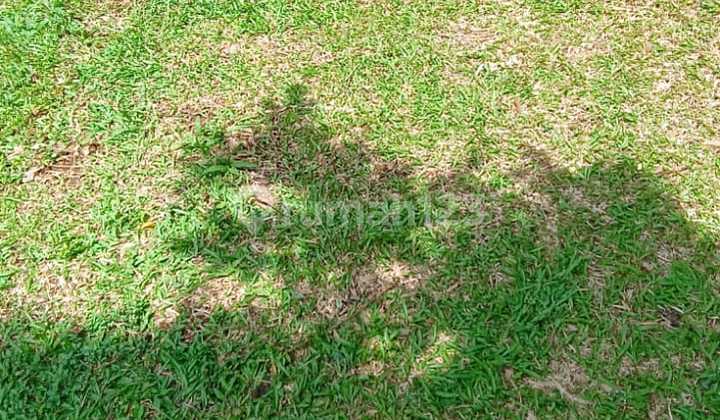 Dijual Tanah Siap Bangun Lokasi Cocok untuk Cafe Outdoor Hidden Gem Dijagajarsa Jakarta Selatan Dijual Tanah Siap Bangun Lokasi Cocok untuk Cafe Outdoor Hidden Gem Dijagajarsa Jakarta Selatan