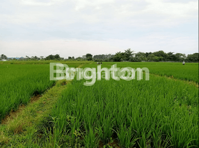 TANAH DI PASAR GEMBONG BALARAJA BARAT TANGERANG 2