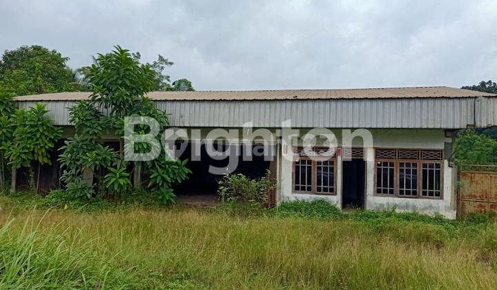 TANAH DI PANDEGLANG EXIT TOL SERANG TIMUR BANTEN