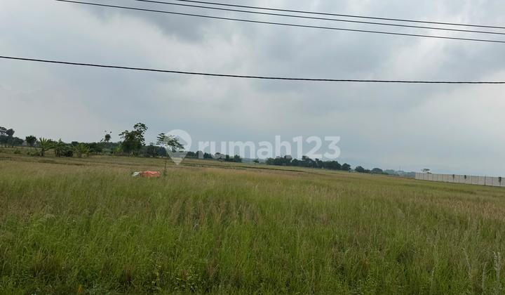 Tanah 12 Hektar di Subang – Lokasi Strategis, Zona Industri, SHM, Harga Menarik!