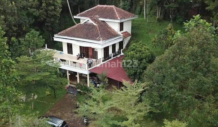 Villa mewah ada beberapa bangunan di Suka karya Megamendung Bogor  1