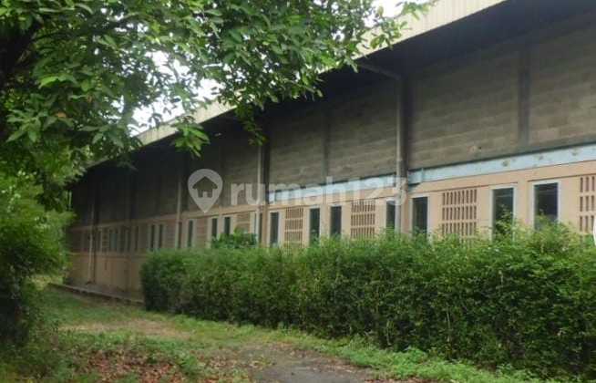 Dijual Ex Pabrik Keramik Melalui Lelang Negara Jl.mercedes Benz Km.8 Desa Cicadas Kecamatan Gunung Puti Kabupaten Bogor Dijual Ex Pabrik Keramik Melalui Lelang Negara Jl.mercedes Benz Km.8 Desa Cicadas Kecamatan Gunung Puti Kabupaten Bogor