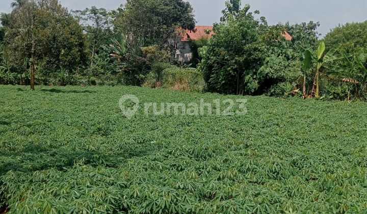 Tanah Cocok Untuk Gudang/kontrakan/villa Pribadi Di Jl. Kampung Tegal, Kemang, Bogor, Jawa Barat, Indonesia, 16310, Kemang