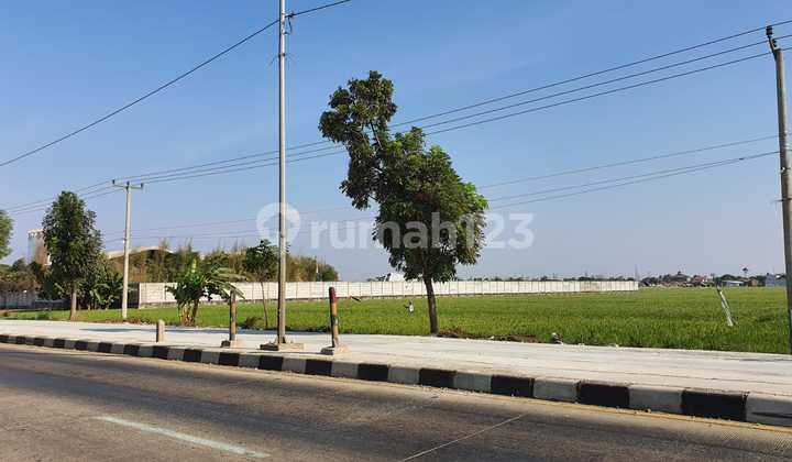 Kavling di Raya Tanjung Pura