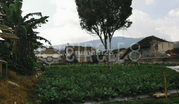 Tanah Mantep Super Luas Area Sejuk di Jayagiri Lembang Bandung 2