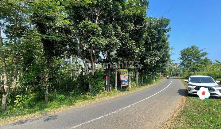 Tanah Murah Good Investment Geopark Sukabumi Harga Di Bawah Pasaran 1