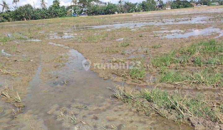 Jual Tanah Bisa untuk Rumah Subsidi di Sukatani, Bekasi  3