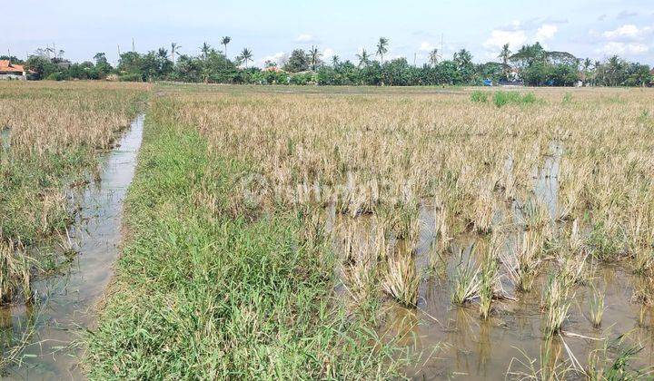 Jual Tanah Bisa untuk Rumah Subsidi di Sukatani, Bekasi  4