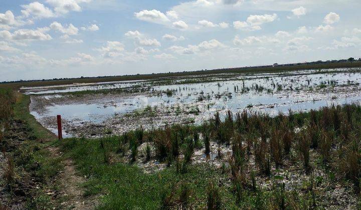 Jual Tanah Bisa untuk Rumah Subsidi di Sukatani, Bekasi  5