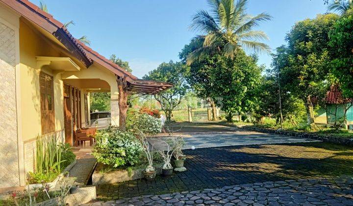Jual Rumah Tepi Sawah Lokasi di Sukaratu, Tasikmalaya 11