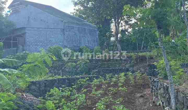 TANAH MURAH LUAS STRATEGIS DEKAT KAMPUS UNDIP TEMBALANG LOKASI DI BULUSAN SELATAN 2