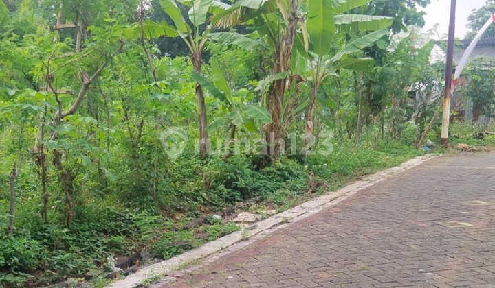 ANAH STRATEGIS DEKAT KAMPUS UNDIP LOKASI BULUSAN SELATAN TEMBALANG