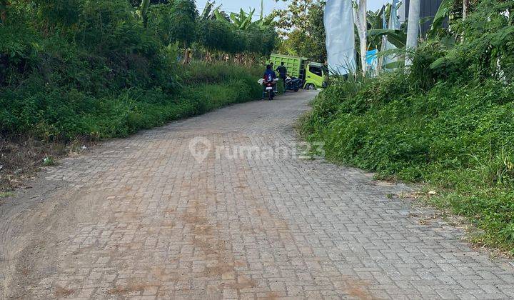 TANAH MURAH LUAS AKSES LUAS DEKAT UNDIP SEMARANG 2