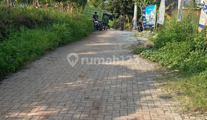 STRATEGIC, SPACIOUS, AFFORDABLE LAND NEAR UNDIP CAMPUS TEMBALANG, LOCATED IN SOUTH BULUSAN 2
