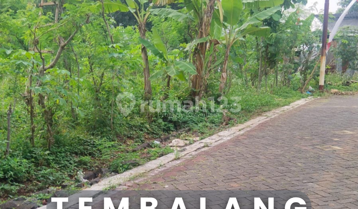 Tanah Strategis Dijual Dekat Kampus Undip Lokasi Bulusan Selatan Tembalang Cocok untuk Kost atau Rumah Tinggal 1