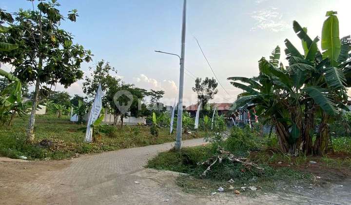 TANAH SIAP BANGUN KOST EXCLUSIVE DI UNDIP TEMBALANG LOKASI BULUSAN TEMBALANG 1