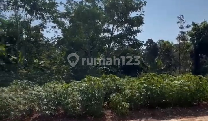 TANAH KAVLING JATEN PATEMON RING 2 KAMPUS UNNES GUNUNG PATI SEMARANG 1