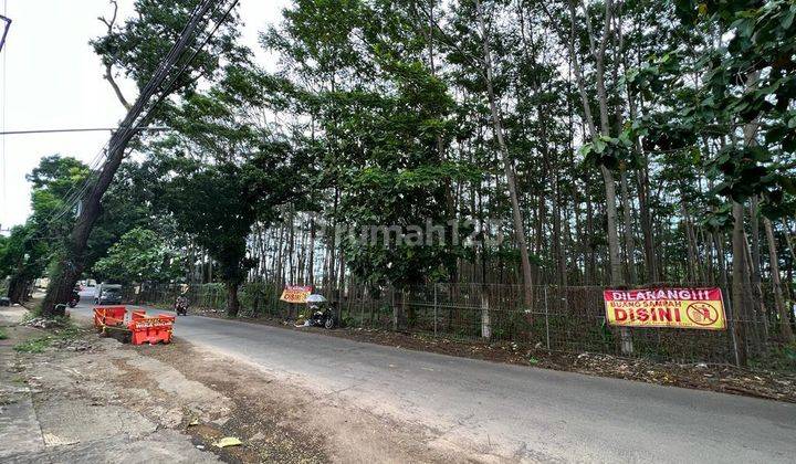 Tanah Luas Daerah Bringin Ngaliyan Semarang Posisi Depan Jalan  1