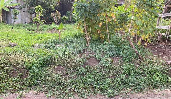 TANAH MURAH STRATEGIS DEKAT KAMPUS UNDIP TEMBALANG LOKASI DI MULAWARMAN SEMARANG  1