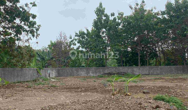 Tanah Daerah Meteseh Semarang Belakang Bukit Kencana  2