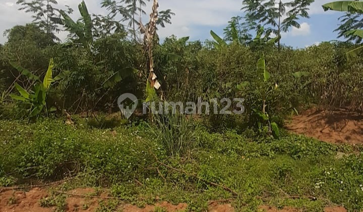 TANAH STRATEGIS DEKAT KAMPUS UNDIP LOKASI MULAWARMAN SELATAN BANYUMANIK SEMARANG 1