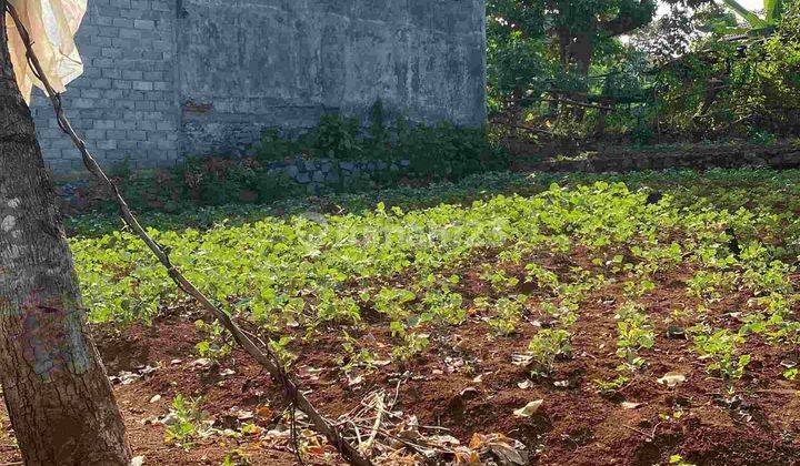 Tanah Murah Luas Daerah Bulusan Selatan Semarang 1