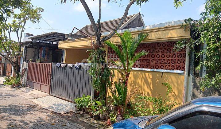 Rumah Murah Satu Lantai Daerah Meteseh Semarang  1