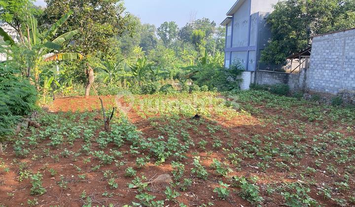 STRATEGIC, SPACIOUS, AFFORDABLE LAND NEAR UNDIP CAMPUS TEMBALANG, LOCATED IN SOUTH BULUSAN 1