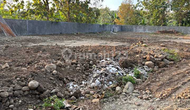 Cheap Strategic Large Land Near Undip Tembalang Campus 2