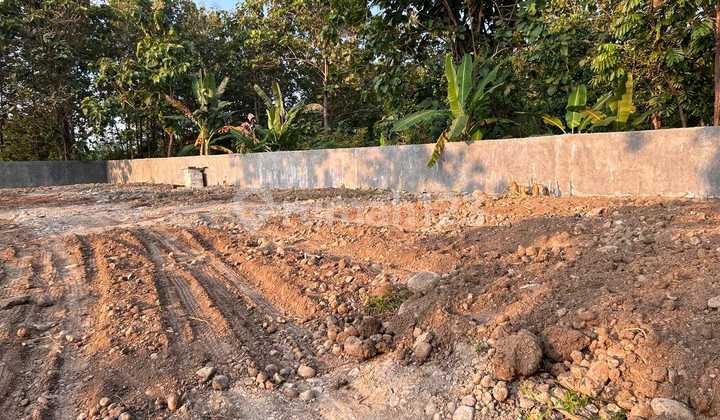 Cheap Strategic Large Land Near Undip Tembalang Campus 1