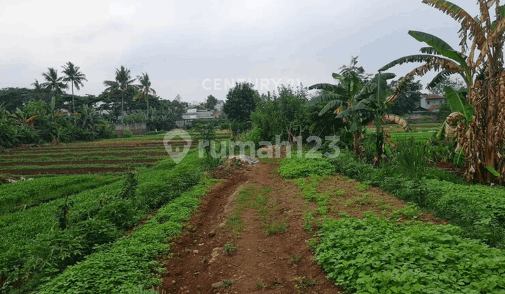 Dijual Tanah Lokasi Strategis Harga Menarik Di Bintaro #250324