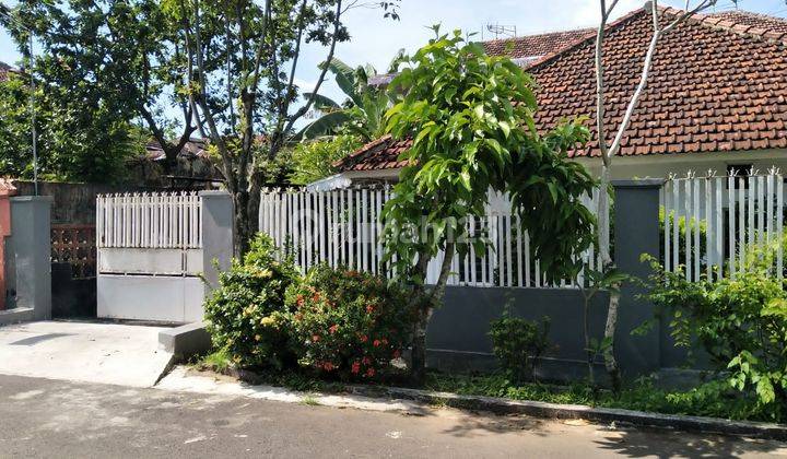 Rumah Kaliwates Jember Luas 290 Meter Dengan 2 Lantai 2