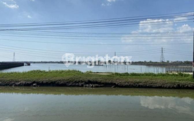SAYUNG TANAH 10 HA ZONA INDUSTRI STRATEGIS PINGGIR JALAN PROTOKOL PANTURA SEMARANG DEMAK 2