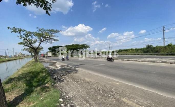 SAYUNG TANAH 10 HA ZONA INDUSTRI STRATEGIS PINGGIR JALAN PROTOKOL PANTURA SEMARANG DEMAK 1