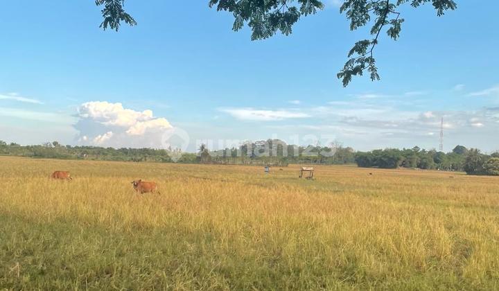 Strategic Land for Sale on Barru Poros Road