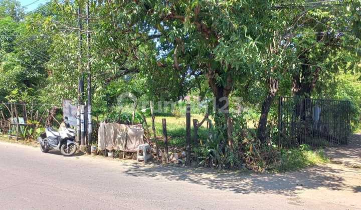 SHM Land Near Sayang Bulurokeng Hospital, Makassar SHM Land Near Sayang Bulurokeng Hospital, Makassar