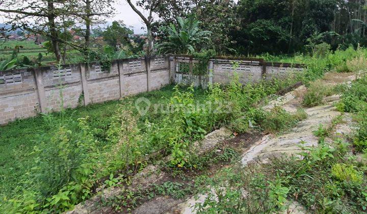 Wow My God, Ex Gudang Pabrik di Cangkuang Kopo Dekat Cibolerang Katapang Bandung 3