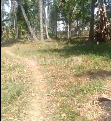 Tanah Sayap Pasteur, Harga Dibawah Njop