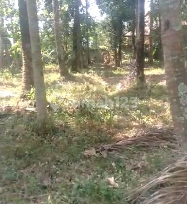 Tanah Sayap Pasteur, Harga Dibawah Njop