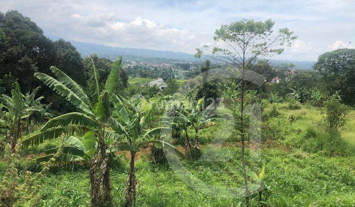 Dijual Cepat Pabrik Dan Gudang di Bogor 2