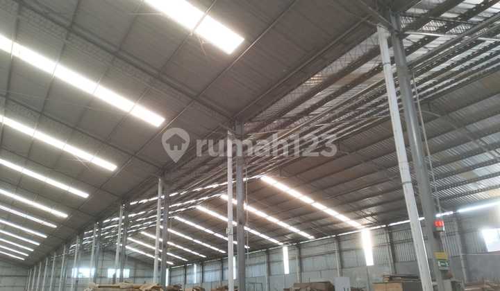 Warehouse for Rent in Mambak, Gempol, Bangsri, Jepara.