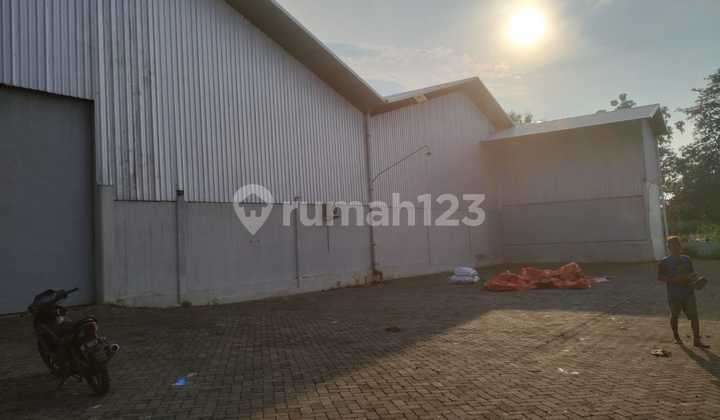 Warehouse for Rent in Mambak, Gempol, Bangsri, Jepara.